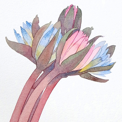 Gary Bukovnik - Jody Klotz Fine Art